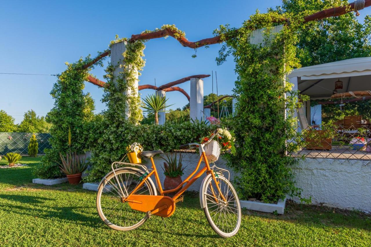 Aristotelis Apartment - Kanalia,Corfu Kastanéa エクステリア 写真