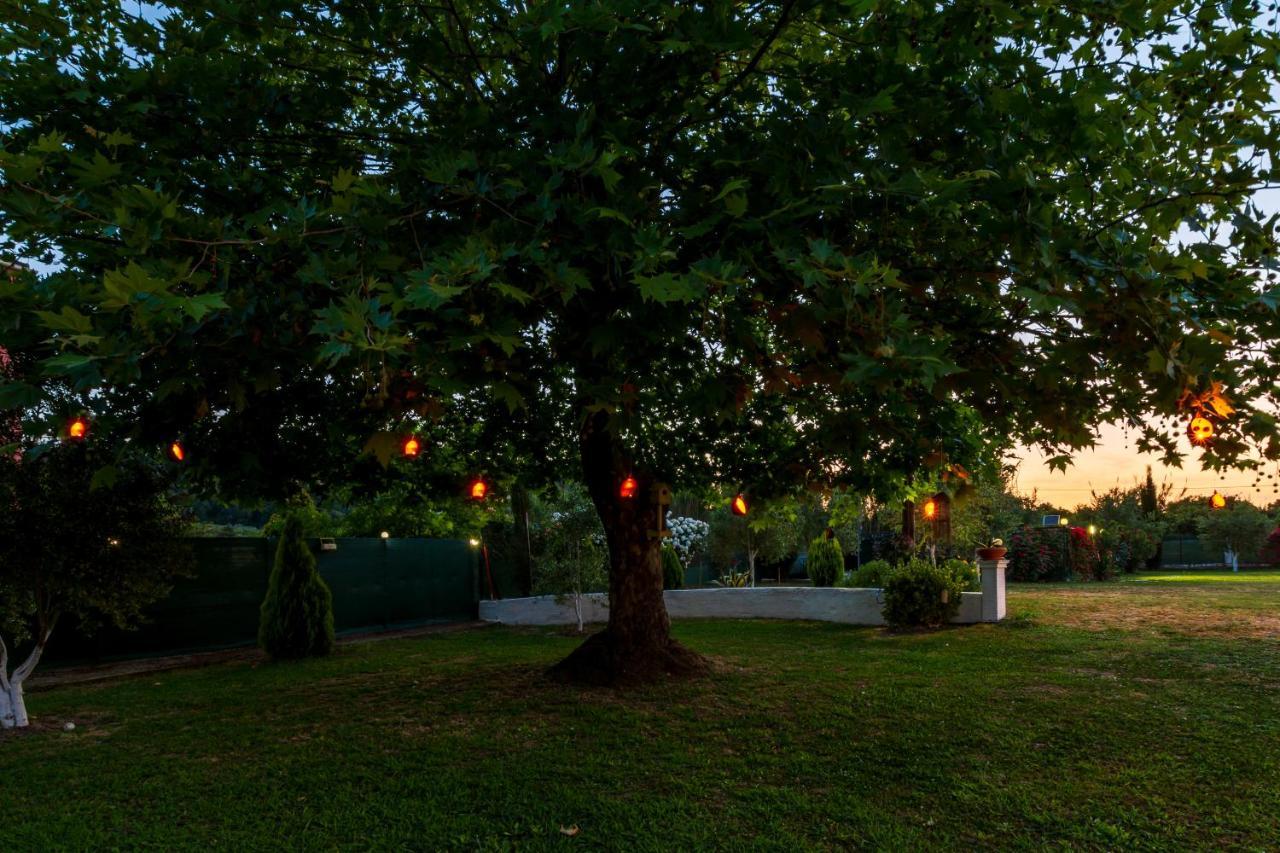 Aristotelis Apartment - Kanalia,Corfu Kastanéa エクステリア 写真